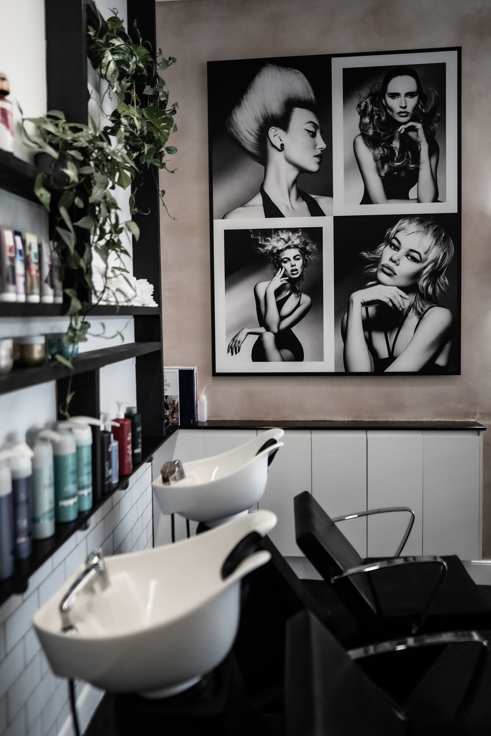 medusa hairdressers, elm row edinburgh medusa hairdressers, elm row edinburgh