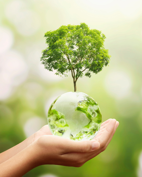Sustainable Salon in Edinburgh